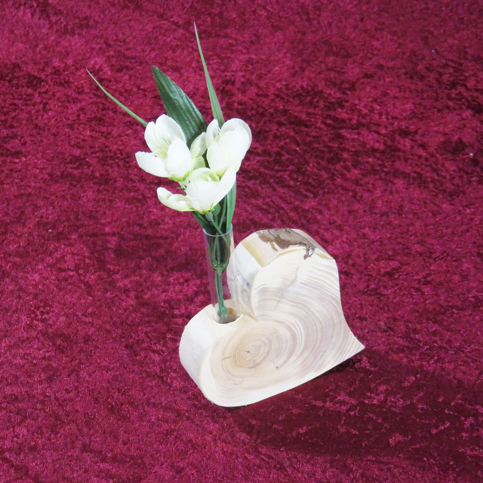 1004--Herz-mit-Reagenzglas